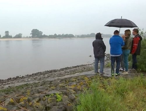 LV – Nachrichten November 2025