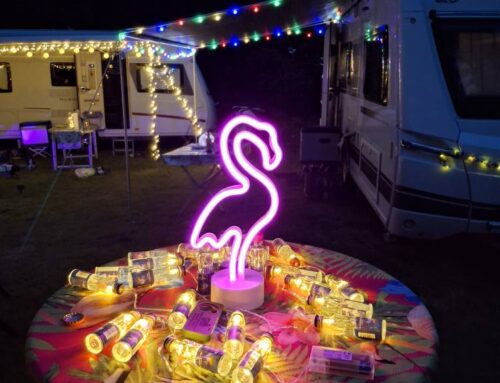 Orts-Club-Nachrichten Februar 2026